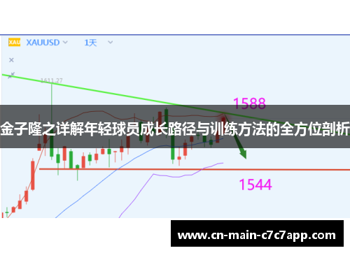 金子隆之详解年轻球员成长路径与训练方法的全方位剖析 金子隆之详解年轻球员成长路径与训练方法的全方位剖析