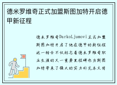 德米罗维奇正式加盟斯图加特开启德甲新征程 德米罗维奇正式加盟斯图加特开启德甲新征程
